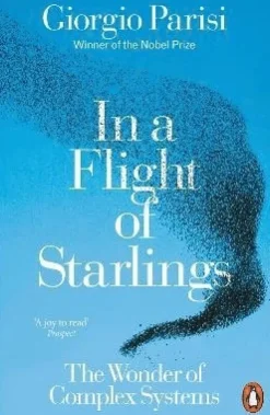 In a Flight of Starlings