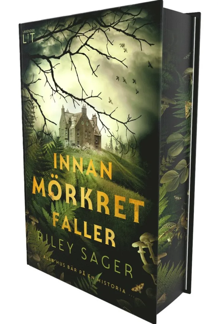 Innan mörkret faller