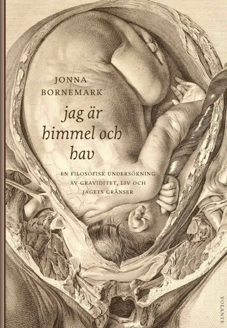 Jag är himmel och hav : en filosofisk undersökning av graviditet, liv och jagets gränser