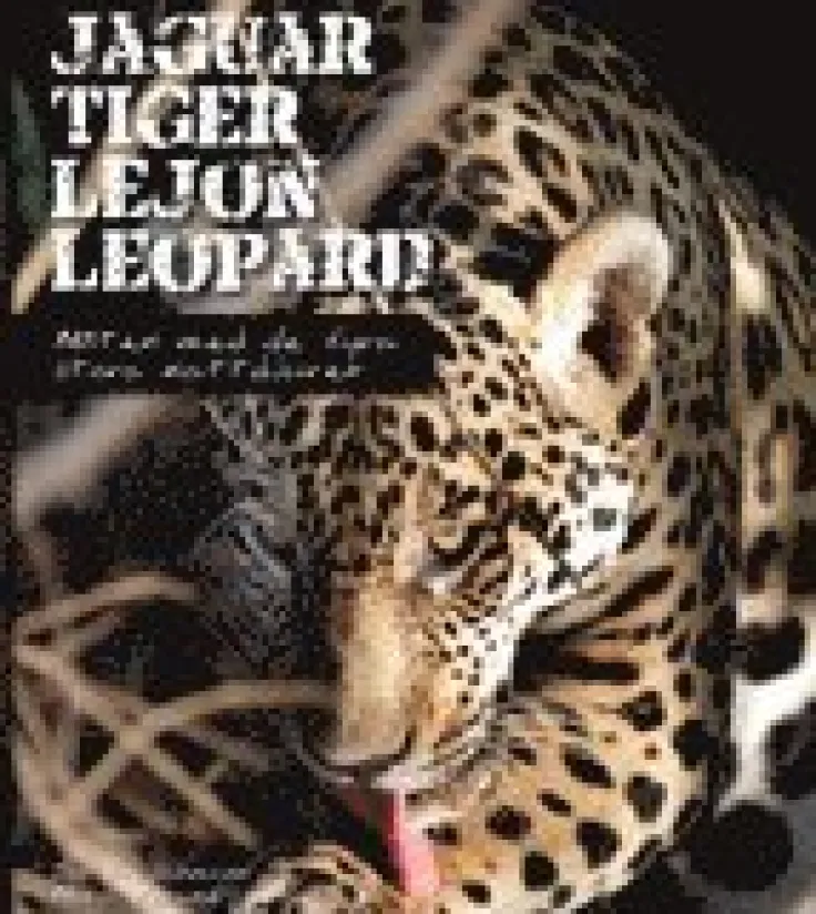 Jaguar, tiger, lejon, leopard : möten med de fyra stora kattdjuren