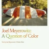 Joel Meyerowitz: A Question of Color