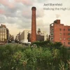 Joel Sternfeld: Walking the High Line
