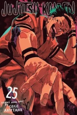 Jujutsu Kaisen, Vol. 25