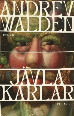 Jävla karlar