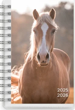 Kalender 2025-2026 Compact Pets