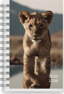 Kalender 2025-2026 Compact Pets