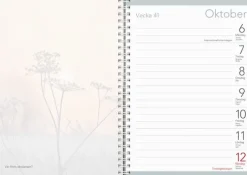 Kalender 2025 Ett skönare liv