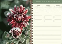 Kalender 2025 Lantdrömmar