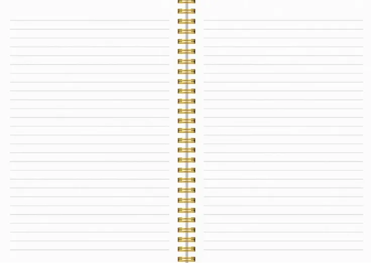 Kalender 2025 Senator A5 Star