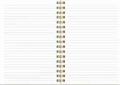 Kalender 2026 Senator A6 Story rutor