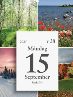 Kalender 2025 Väggplån med dagblock Årstiderna