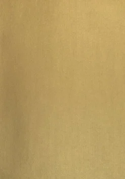 Kartong A4 220g 5-pack guld