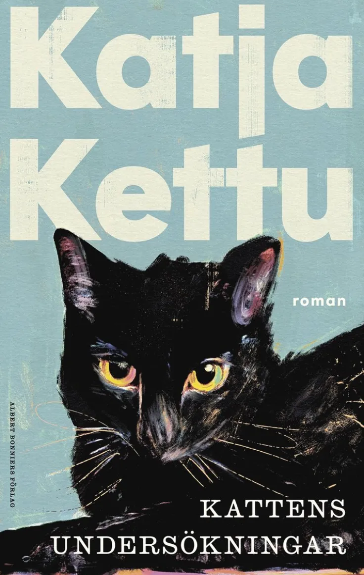 Kattens undersökningar