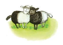 Kort Emil det halva fåret