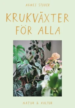 Krukväxter för alla