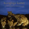 Kungliga katter : beteenden och signaler hos världens största kattdjur