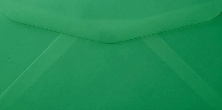 Kuvert E65 5-pack gräsgrön