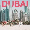 Lonely Planet Pocket Dubai