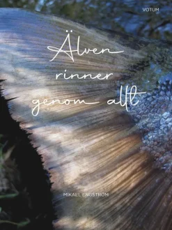 Älven rinner genom allt