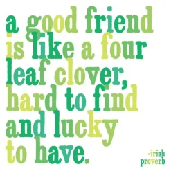 Magnet A Good Friend