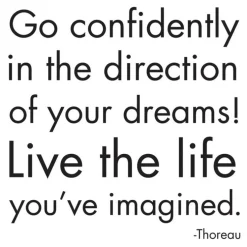 Magnet Go Confidently