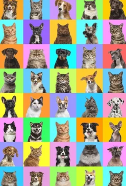 Minipussel 150 bitar Hund och Katt