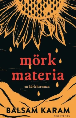Mörk materia : En kärleksroman