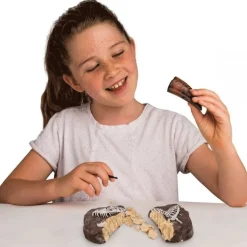 National Geographic Dino Fossil Dig Kit