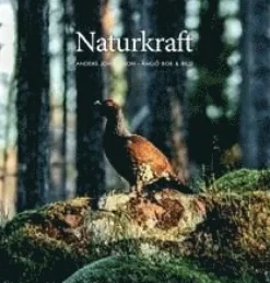 Naturkraft