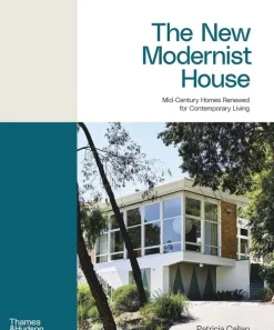New Modernist House