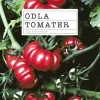 Odla tomater