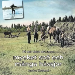 På den tiden det fanns mycket snö och många hässjor