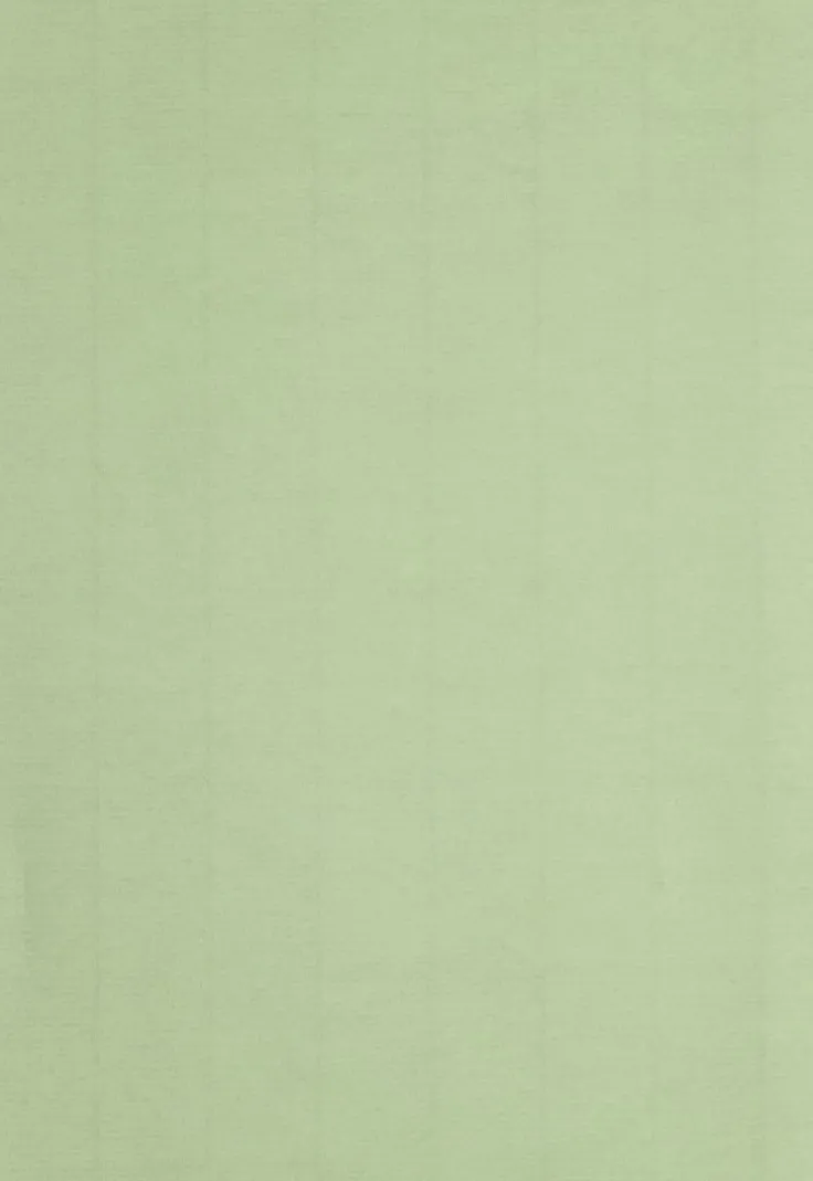 Papper A4 110g 10-pack lime