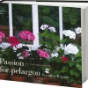 Passion för pelargon : en samlares möten