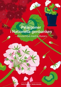 Pelargoner i Nationella genbanken - fönsterträd med kulturarv