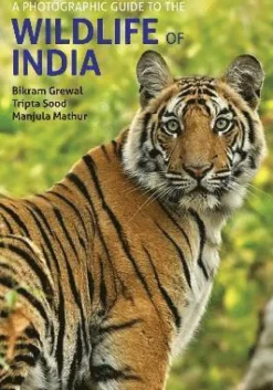 Photographic Guide to the Wildlife of India