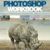 Photoshop Workbook, The