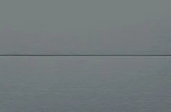 Placeringskort dubbla 10-pack grå