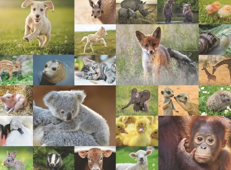 Pussel 200 bitar Animal Babies