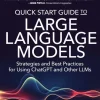 Quick Start Guide to Large Language Models