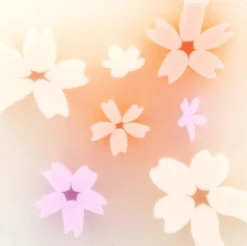 Radergummi blomma sakura