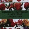 Rhododendrons and Azaleas - A Colour Guide