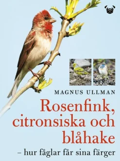 Rosenfink, citronsiska och blåhake : hur fåglar får sina färger