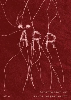 Ärr : berättelser om akuta kejsarsnitt