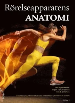 Rörelseapparatens anatomi