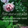 Rätt växt på rätt plats : välja växter som trivs i din trädgård