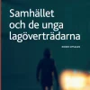 Samhället och de unga lagöverträdarna