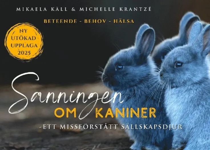 Sanningen om kaniner : ett missförstått sällskapsdjur