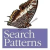 Search Patterns