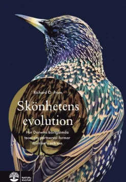 Skönhetens evolution : hur Darwins bortglömda teori om det sexuella urvalet formar djurriket - och oss
